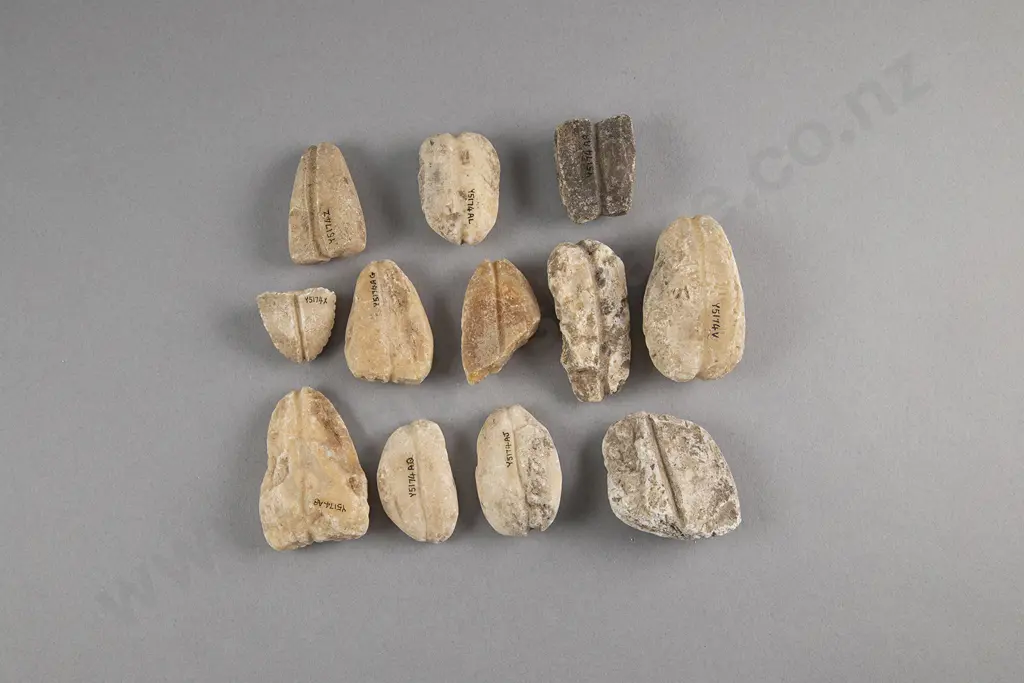 Twelve Limestone Sinkers Image 1++
