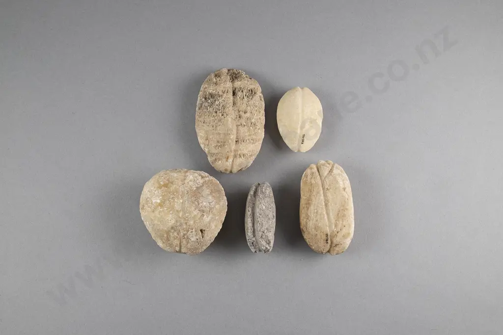 Five Limestone Sinkers Image 1++