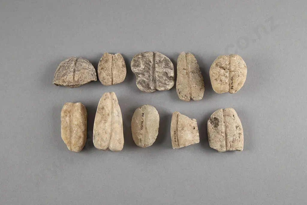 Ten Limestone Sinkers Image 1++