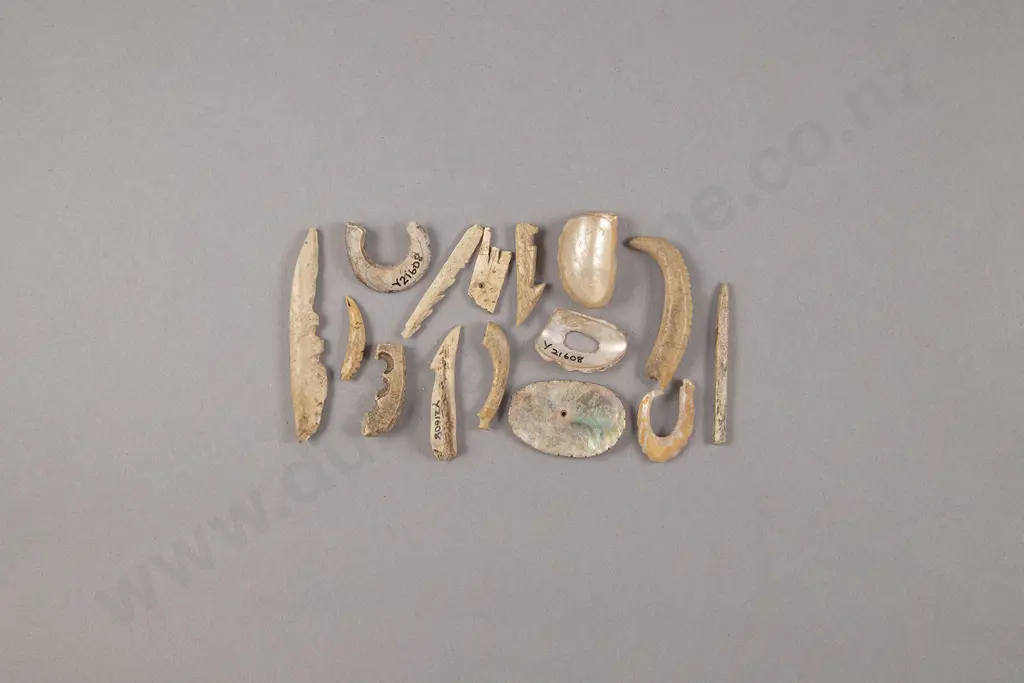 A Selection Of Bone Fish Hooks And Other Remnants Image 1++
