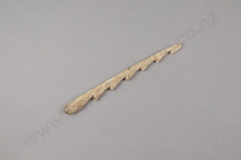 Bone Spear Barb Image 1++