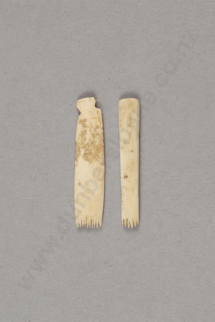 Two Bone Uhi Matarau (Serrated Tattooing Chisels) Image 1++