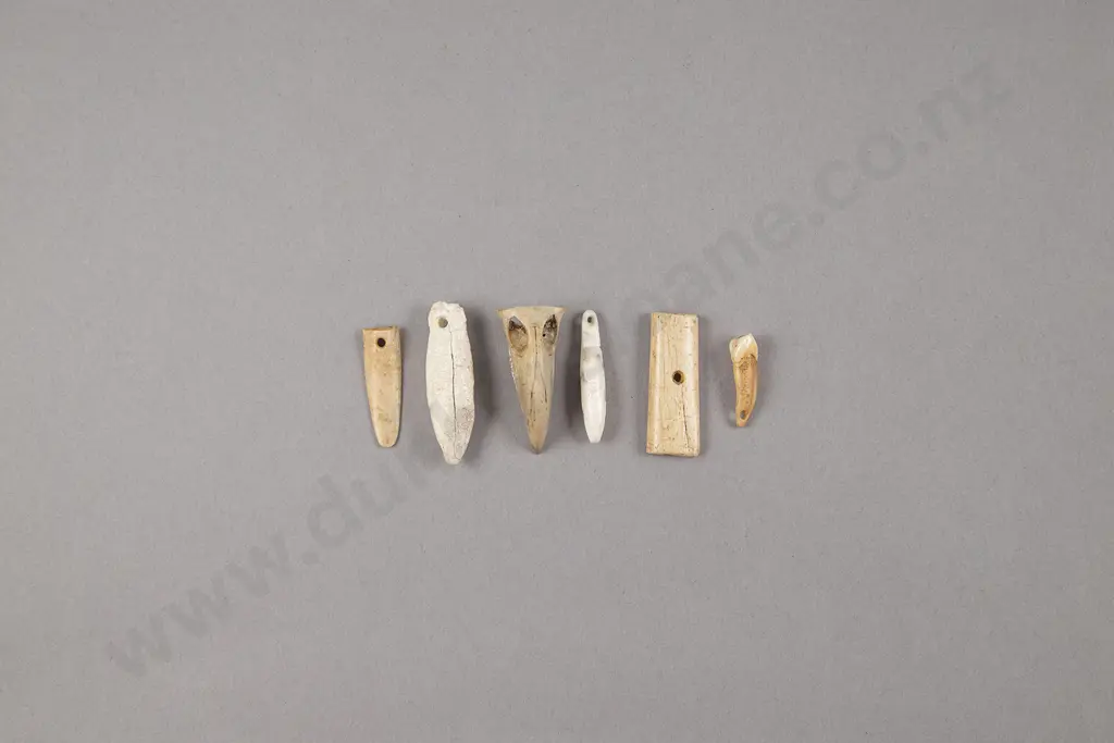 Assortment of Bone and Tooth Pendants Image 1++