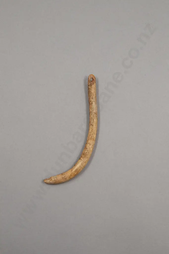 An Early Contact Period Aurei (Cloak Pin) Image 1++