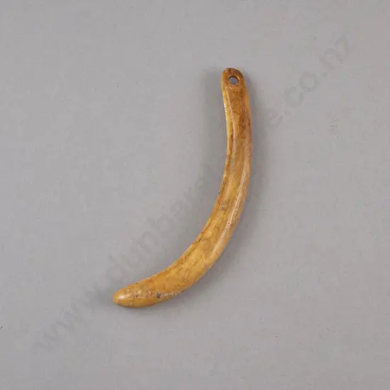 An Early Contact Period Aurei (Cloak Pin)
