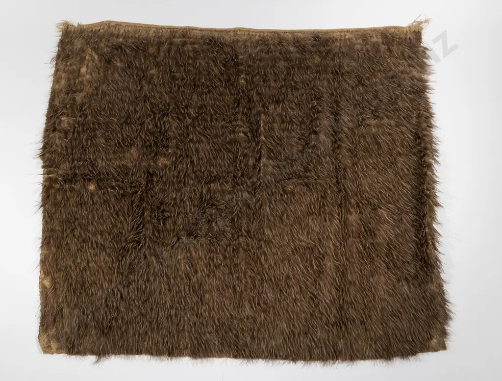 19th Century Kiwi Feather Cloak Image 1++