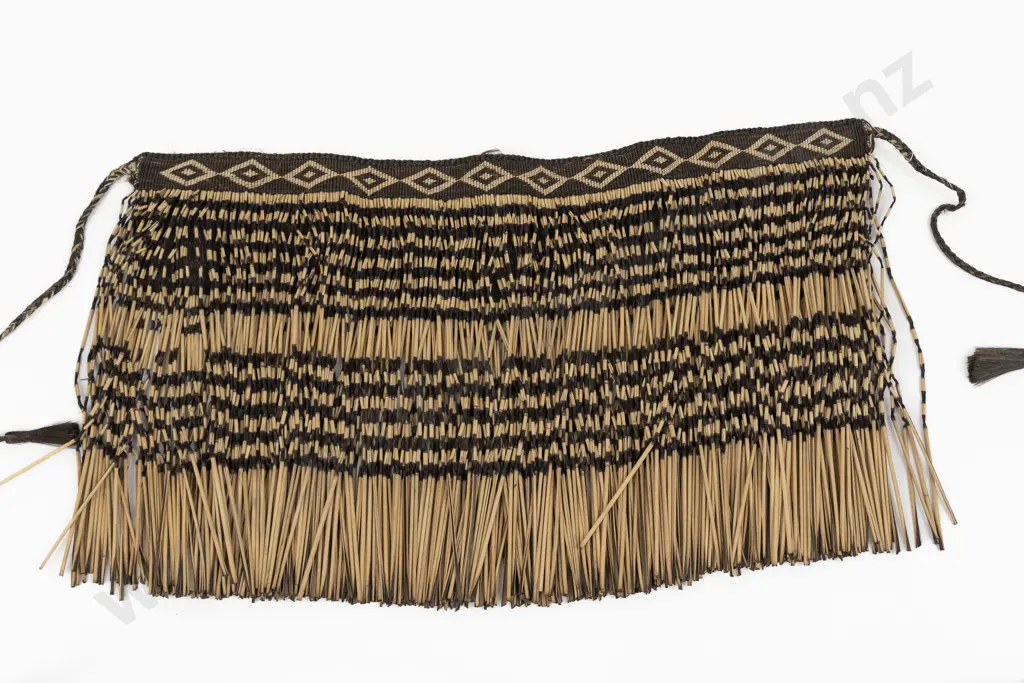 A 20th Century Piupiu (Maori Waist Garment) Image 1++