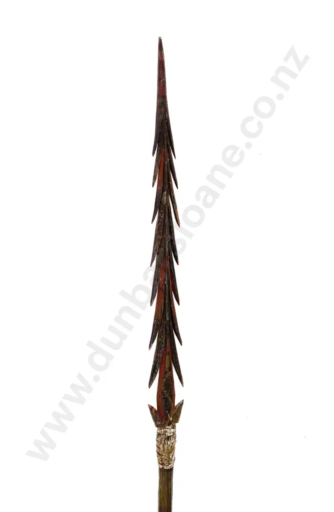 An Aboriginal Spear Image 1++