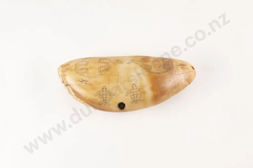 A Fine Fijian Tabua (Ceremonial Marine Ivory Tooth) Image 1++