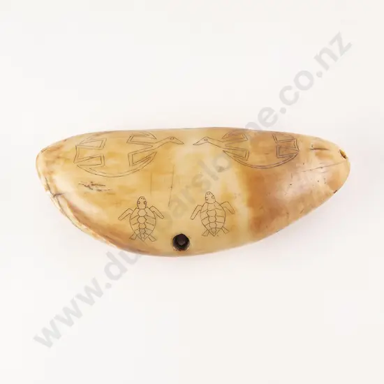 A Fine Fijian Tabua (Ceremonial Marine Ivory Tooth)