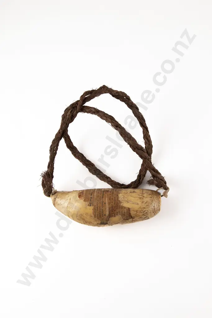 Fijian Tabua (Ceremonial Marine Ivory Tooth) Image 1++