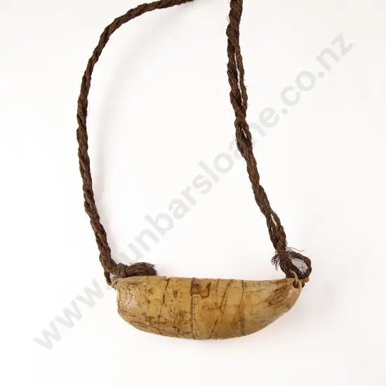 Fijian Tabua (Ceremonial Marine Ivory Tooth)