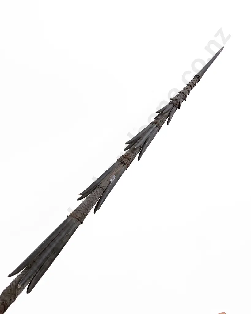 A Large and Impressive Fijian Spear Image 1++