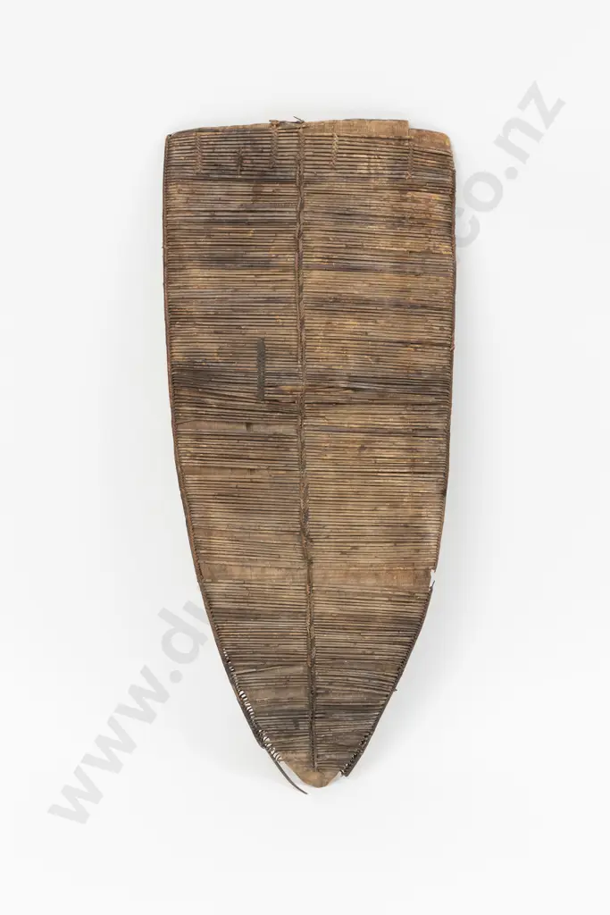 Papua New Guinean Mailu War Shield From Collingwood Bay Image 1++