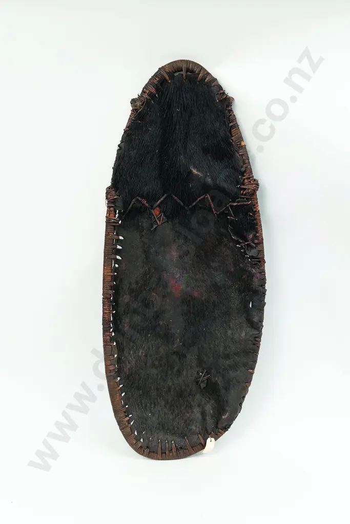 An Impressive Papua New Guinean Kwoma War Shield Image 1++