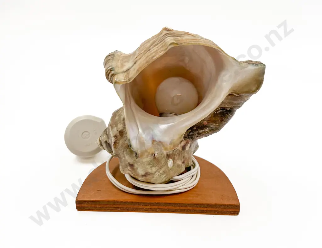Shell Form Lamp Image 1++