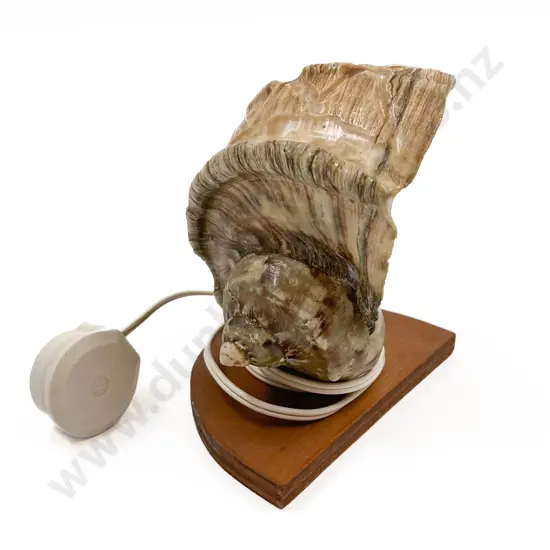 Shell Form Lamp