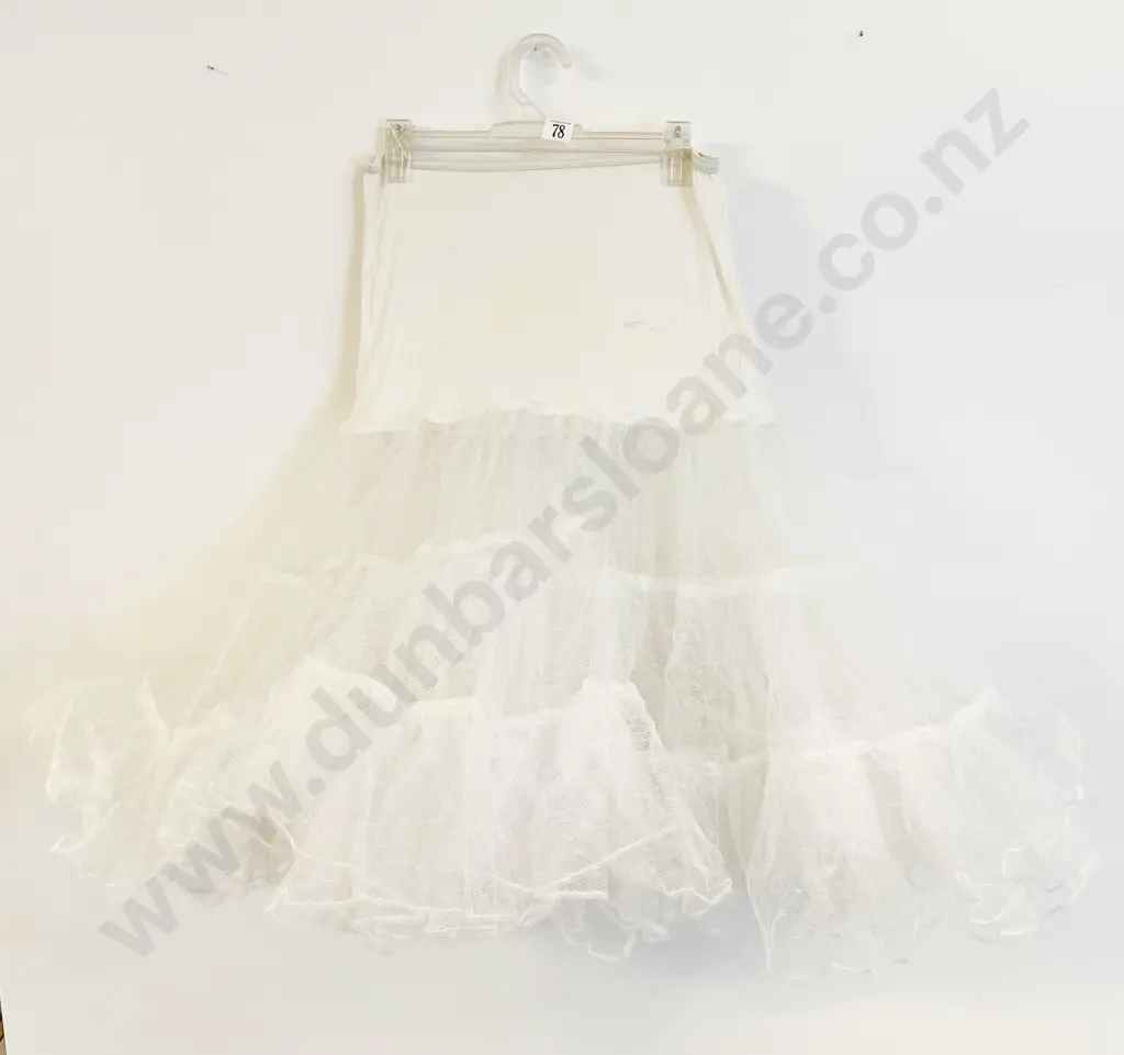 C.1960s Rock 'N Roll Petticoat Image 1++