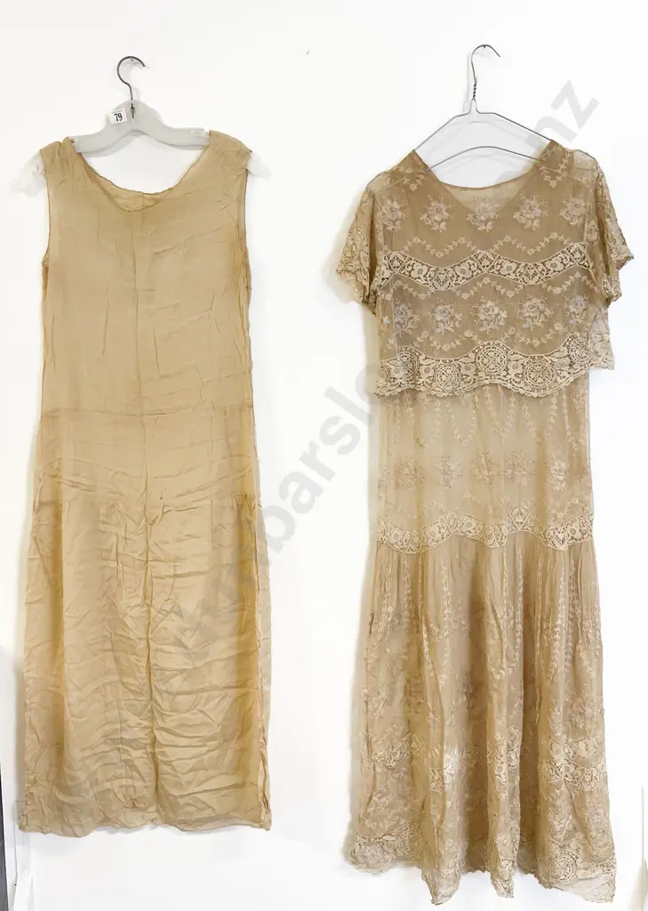 Edwardian Net Lace Afternoon Dress With Petticoat Image 1++