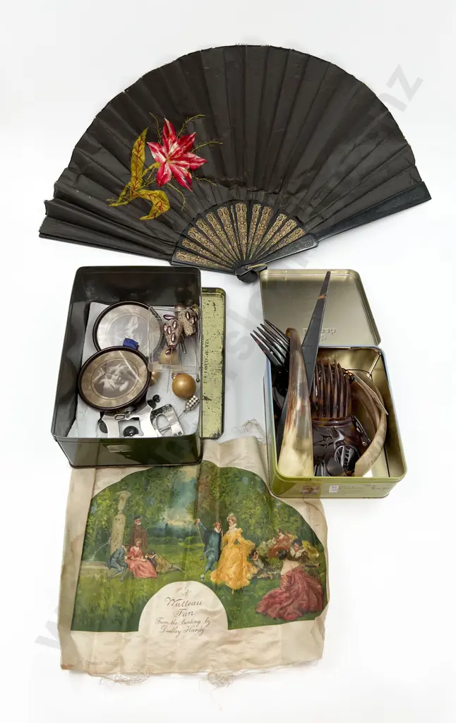 Selection of Vintage Hair Combs With Fan and Hat Pins Etc. Image 1++