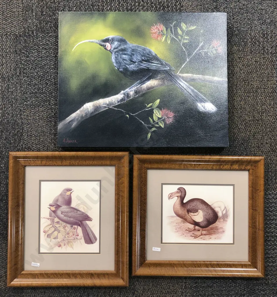 A. Anker Bird Study Together With Two Framed Bird Studies (3) Image 1++