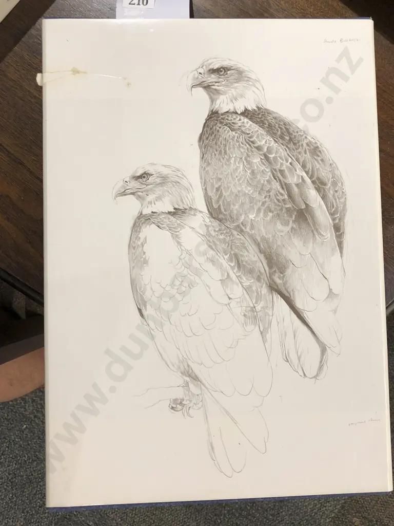Studies And Sketches Of A Bird Painter by Raymond Ching Image 1++
