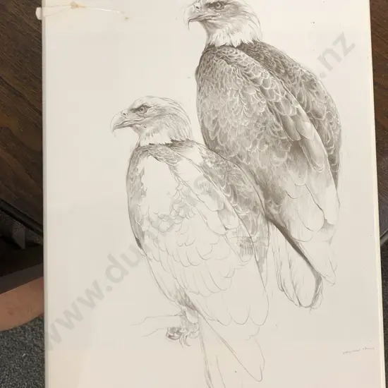 Studies And Sketches Of A Bird Painter by Raymond Ching
