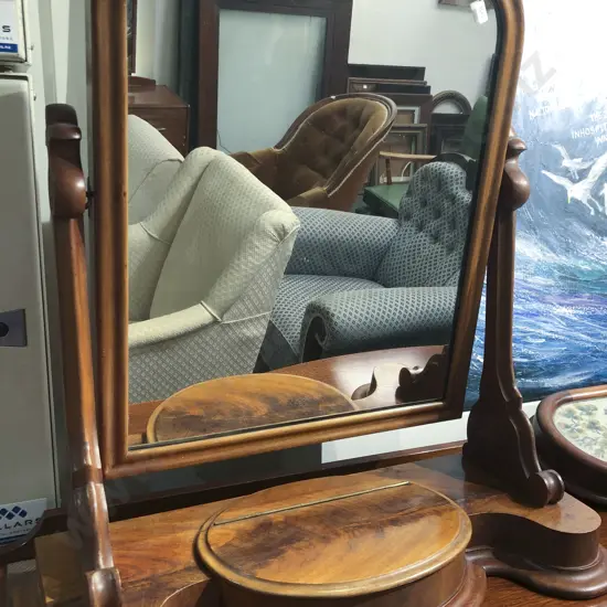 Toilet Swing Mirror