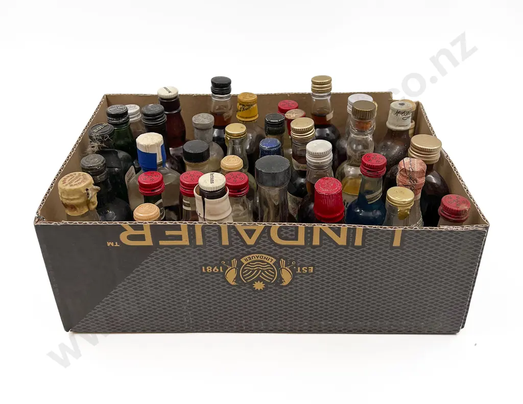 Approx. 40 Mixed Alcohol Miniatures Image 1++