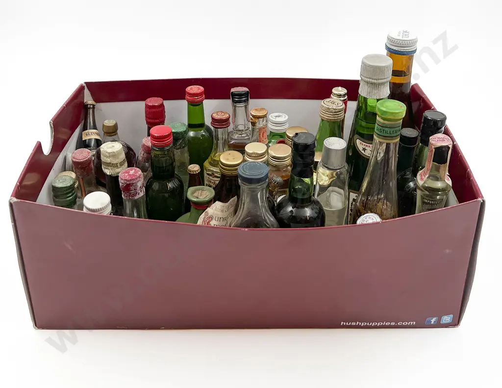 Approx. 40 Mixed Alcohol Miniatures Image 1++