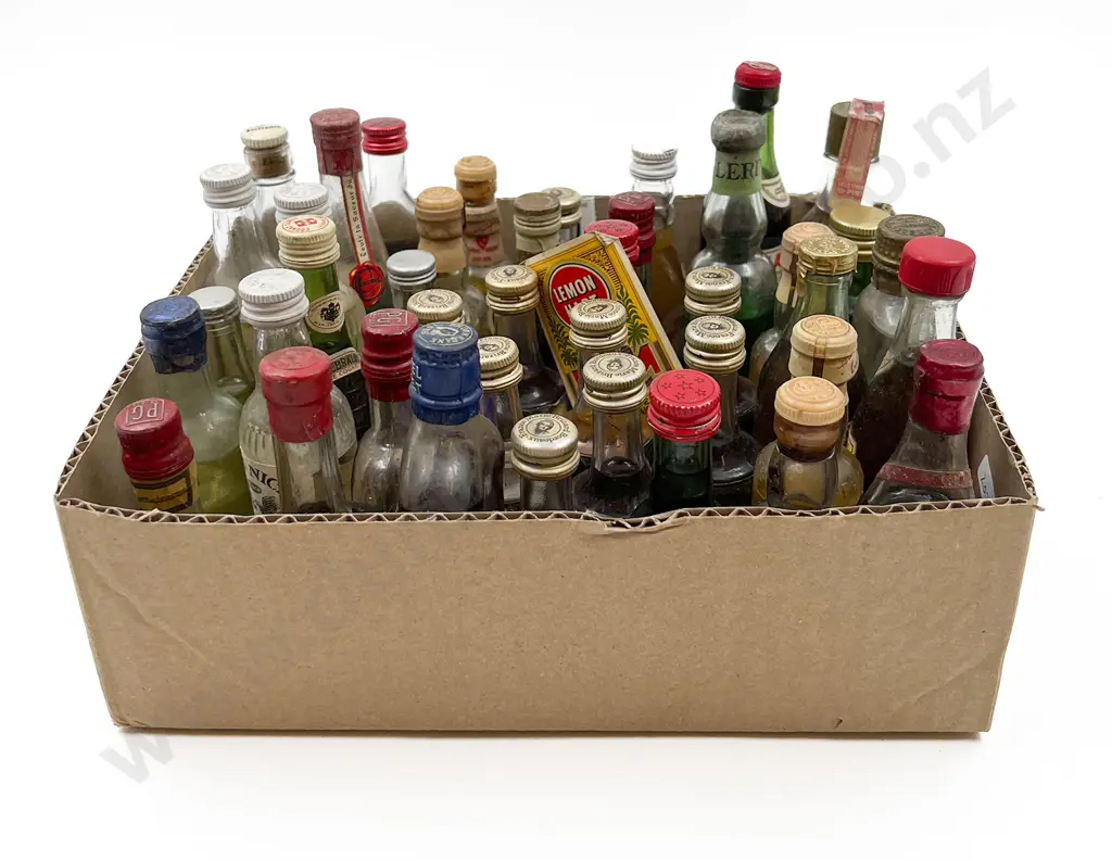 Approx. 40 Mixed Alcohol Miniatures Image 1++