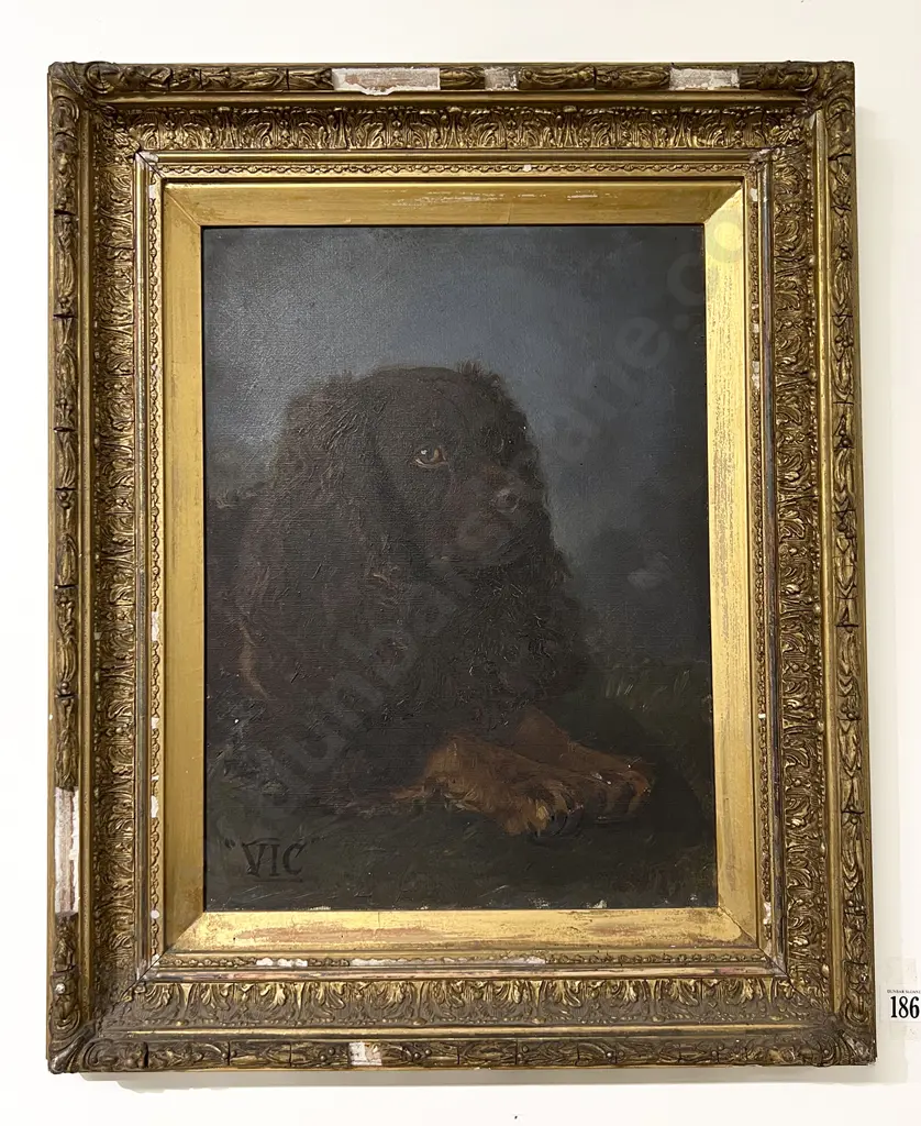 Victorian Oil Portrait Of A Seated Dog "Vic" Image 1++