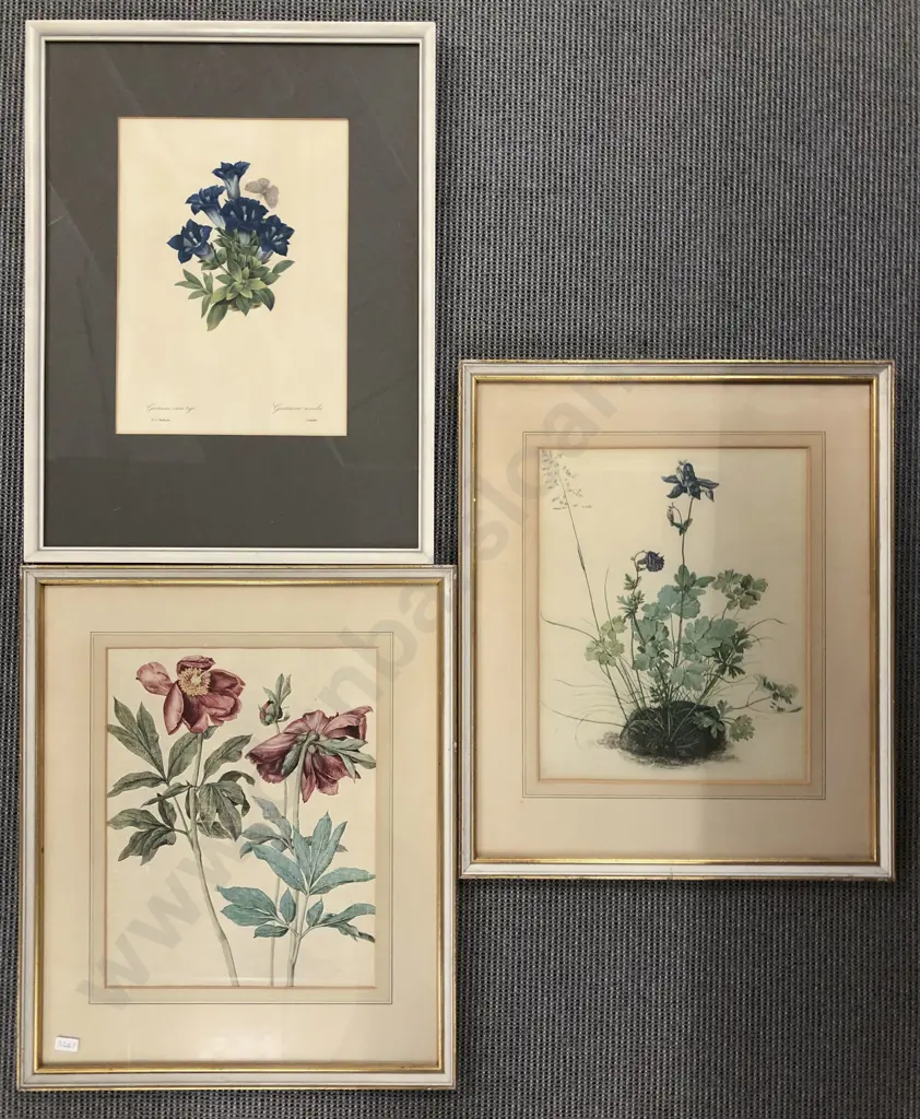 Three Botanical Prints Image 1++