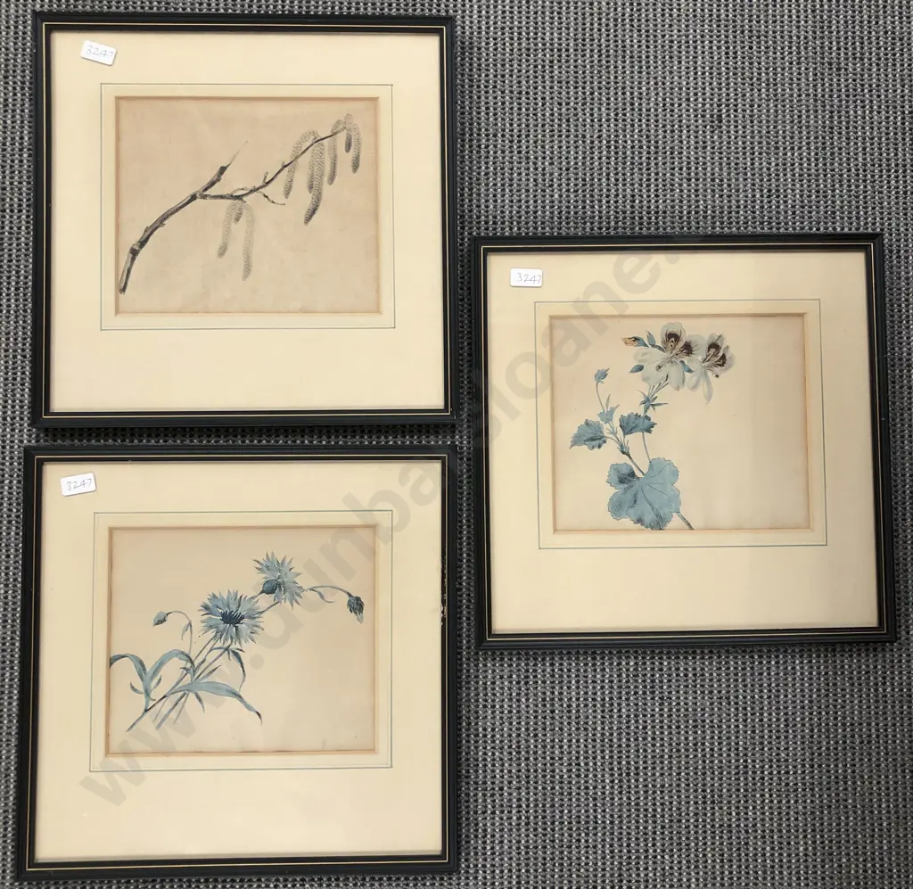 Three Botanical Prints Image 1++