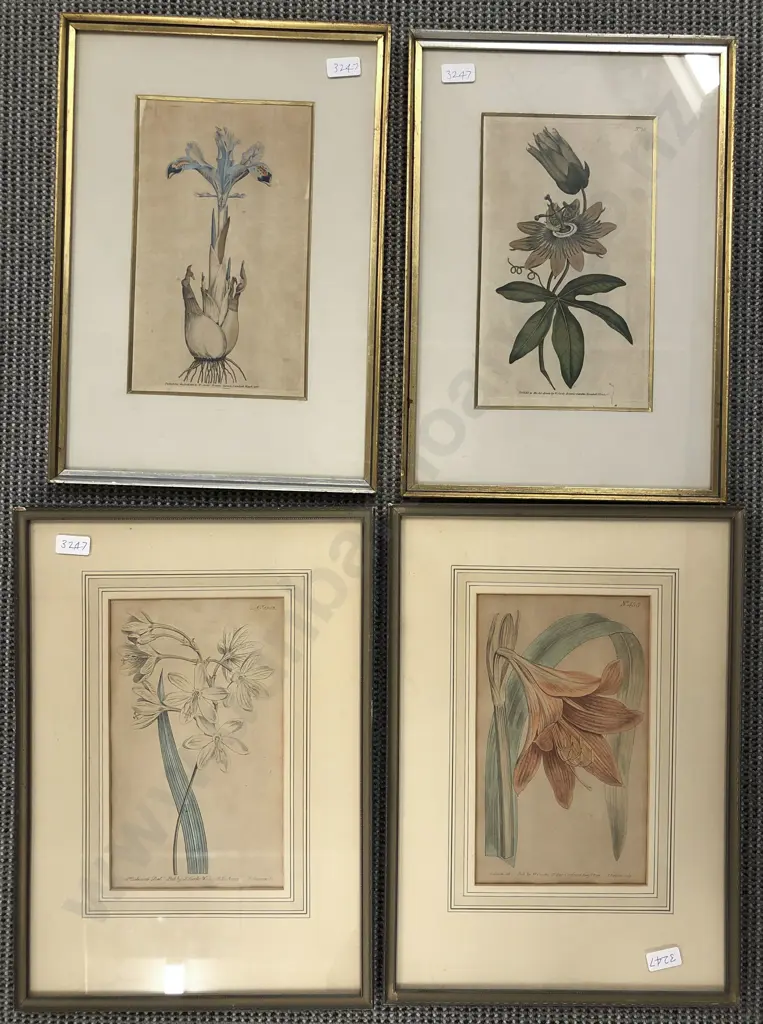 Four Botanical Prints Image 1++