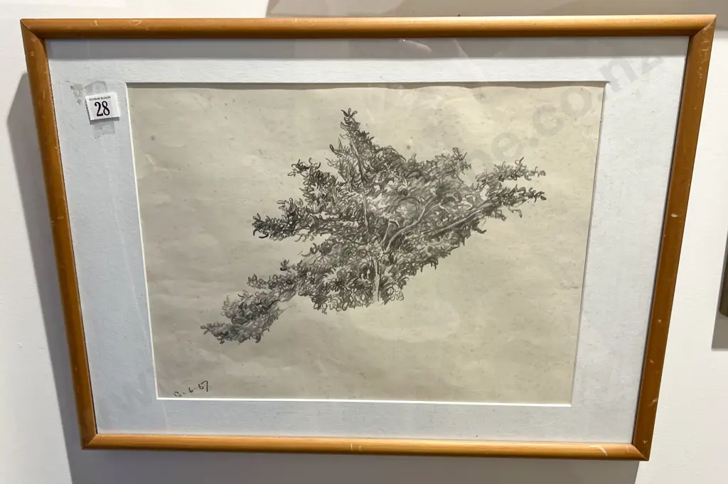 Joe Bootham - Macrocarpa Branches (2) Image 1++