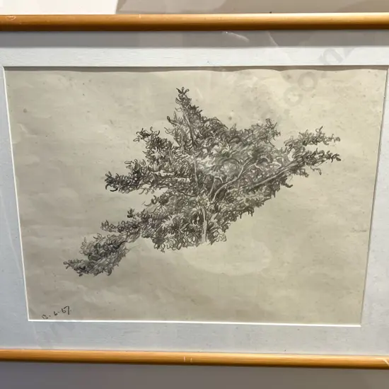Joe Bootham - Macrocarpa Branches (2)