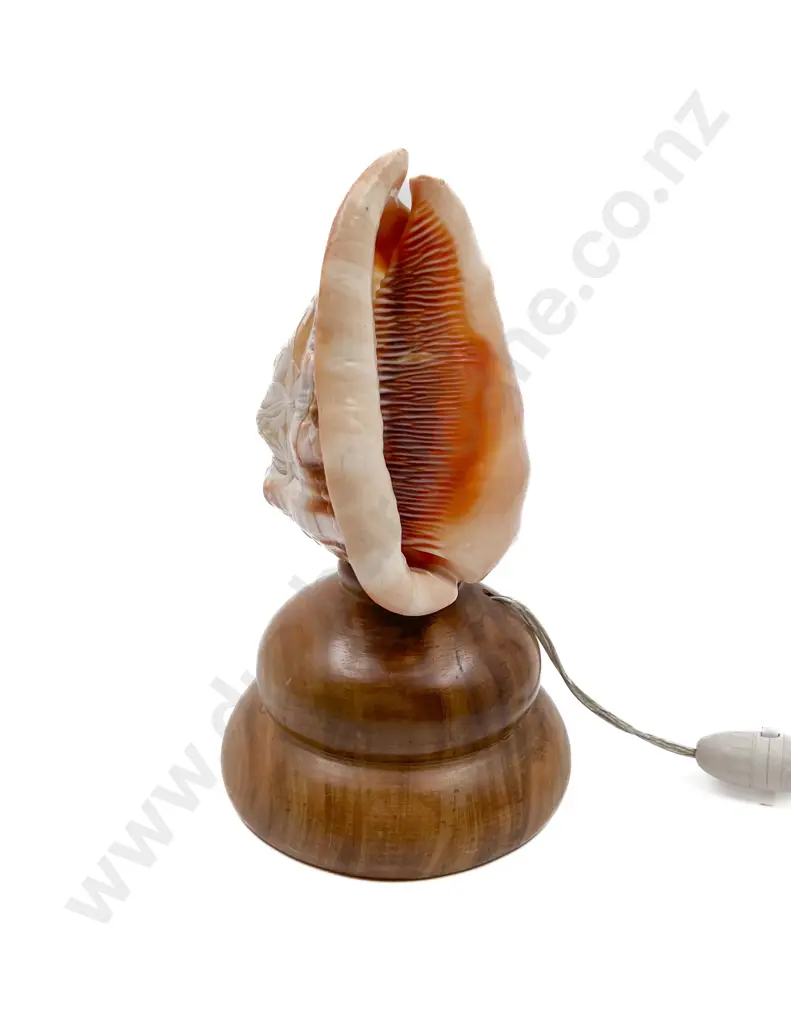 Shell Form Table Lamp with Turned Wood Base Image 1++