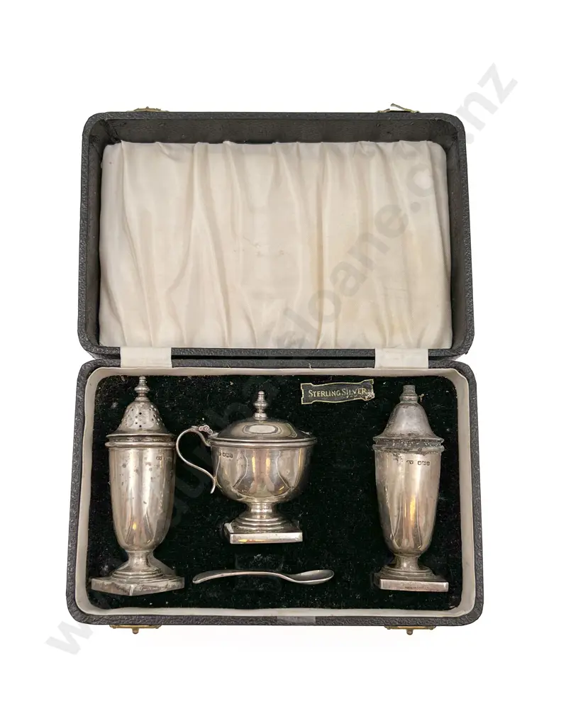 Cased S/S Condiment Set Image 1++