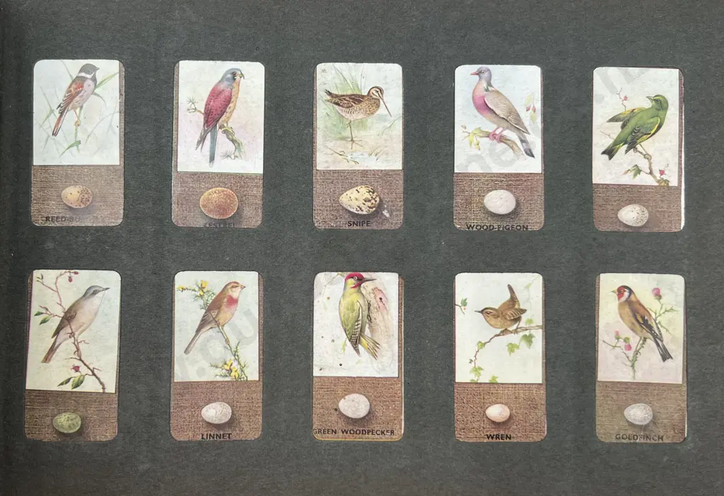 Four Various Cigarettes Card Albums Image 1++
