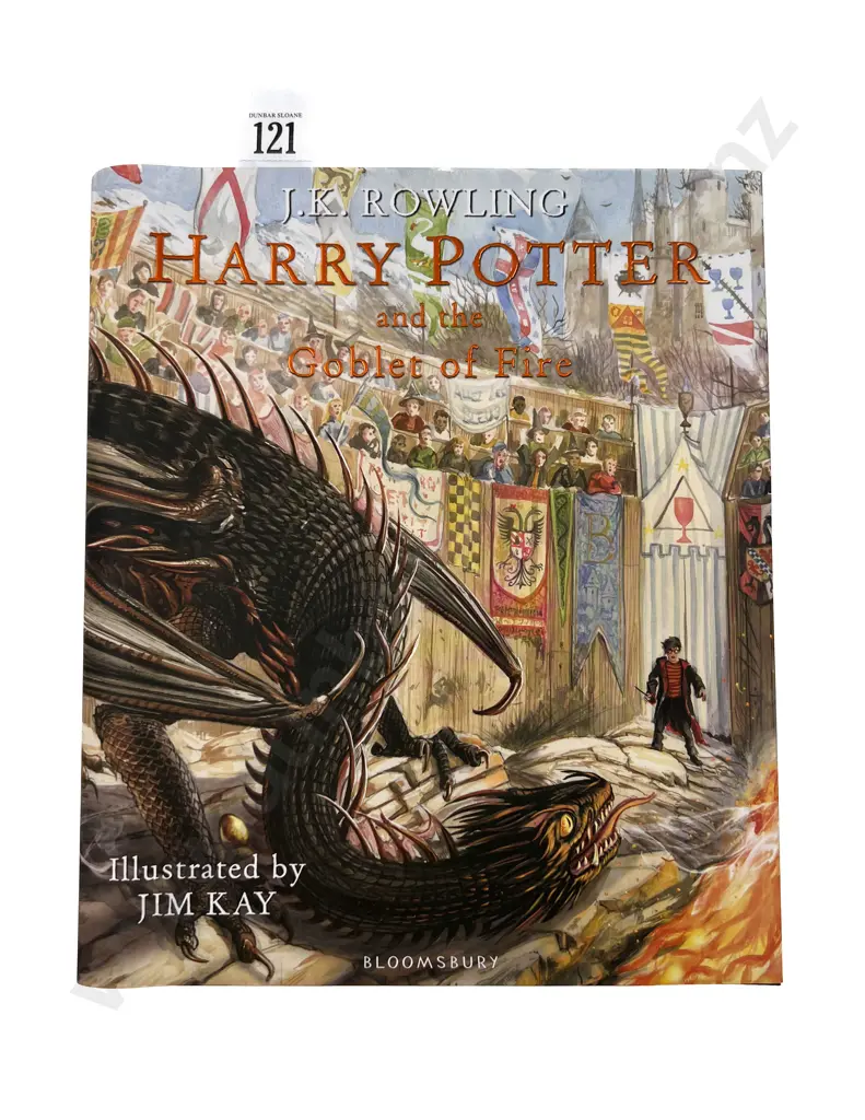 Illustrated "Harry Potter and The Goblet of Fire" Image 1++