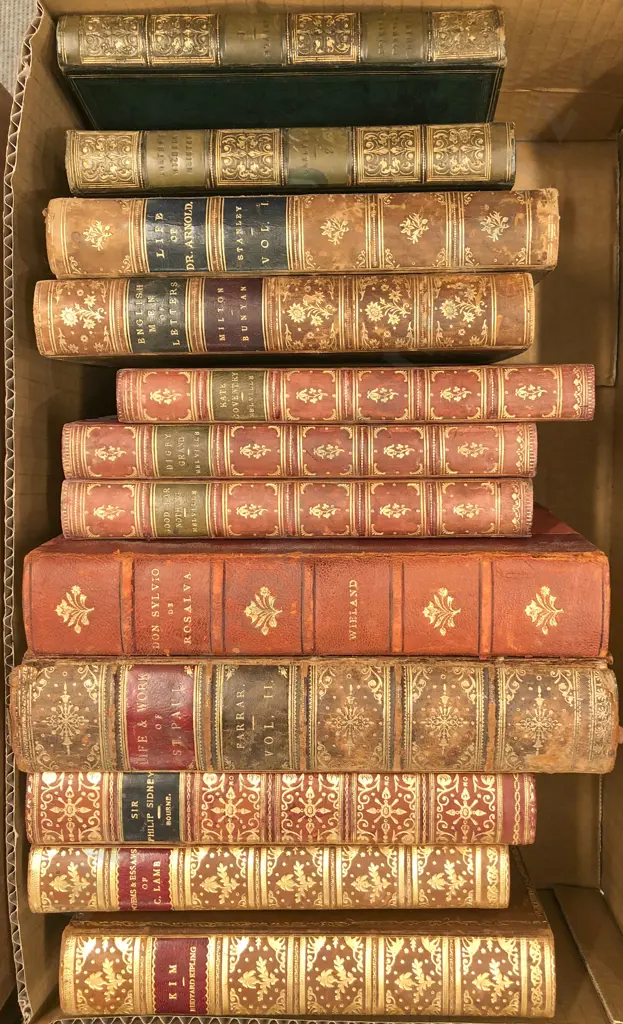 Small Box Of Vintage Books Including Don Sylvio Dr Rosalva By Wieland Image 1++