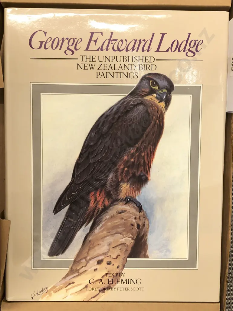 George Edward Lodge - The Unpublished NZ Bird Paintings Image 1++