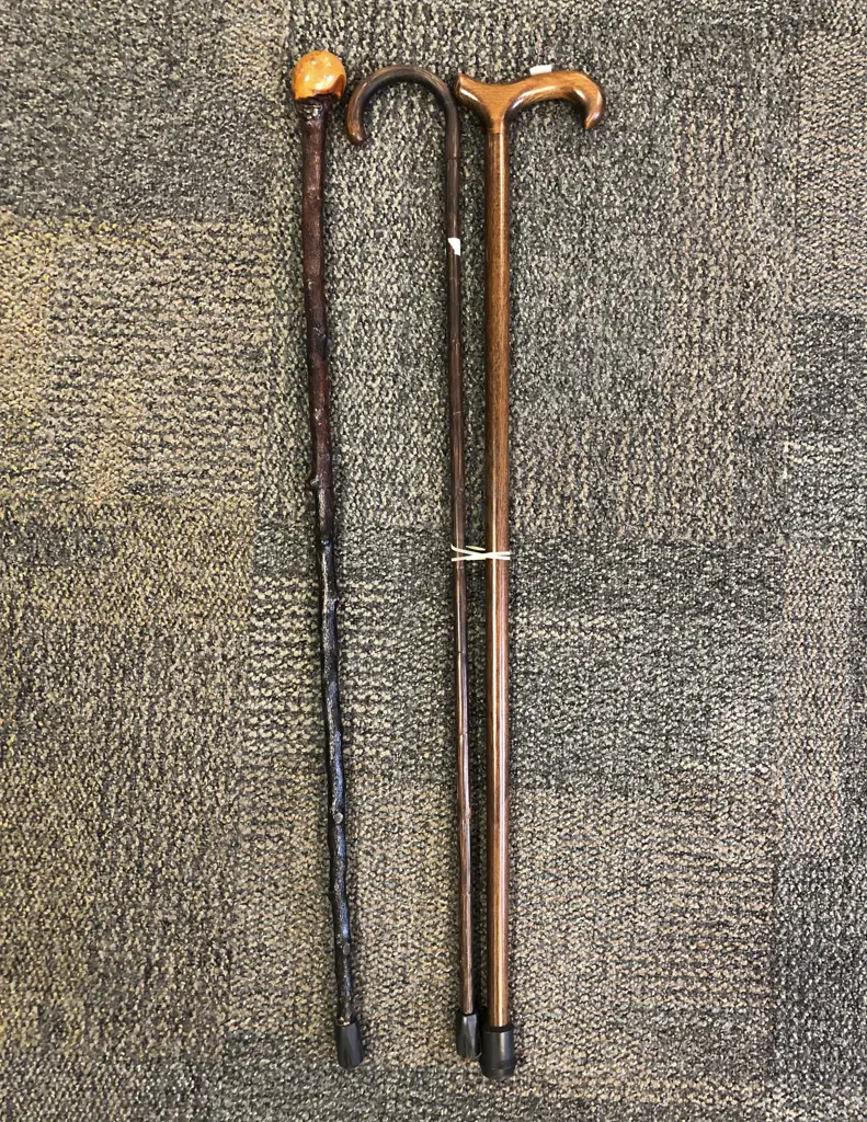 Three Assorted Walking Sticks Image 1++