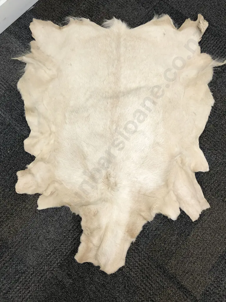 Goat Skin Rug Image 1++