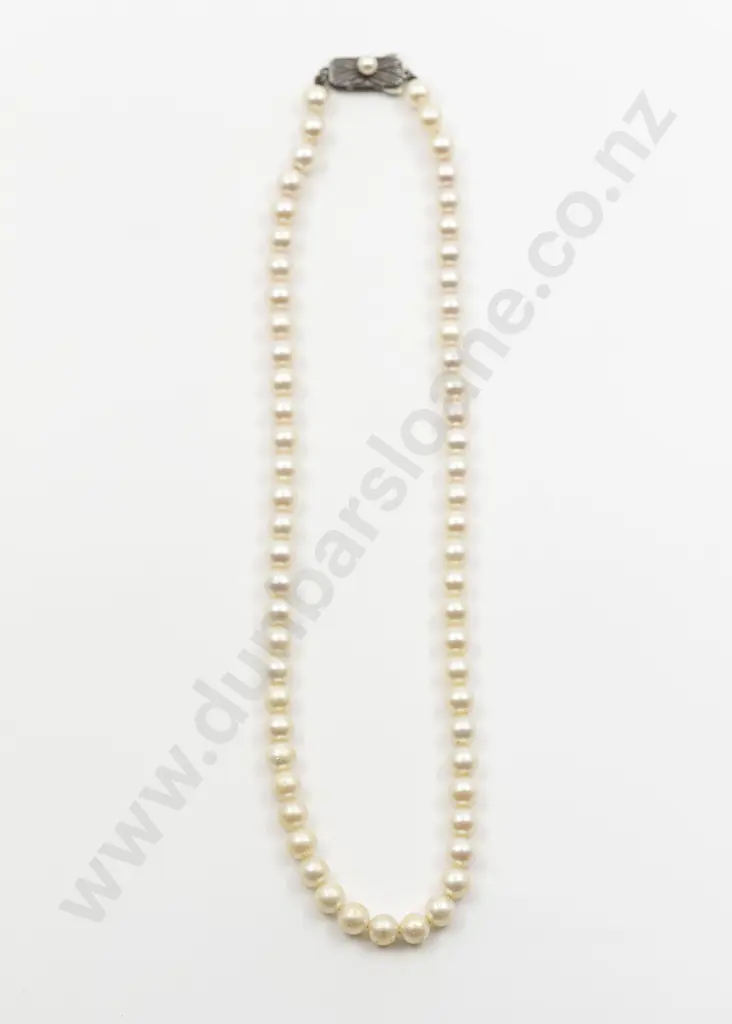 Mikimoto Uniform Single Strand Cultured Pearl Necklace Image 1++