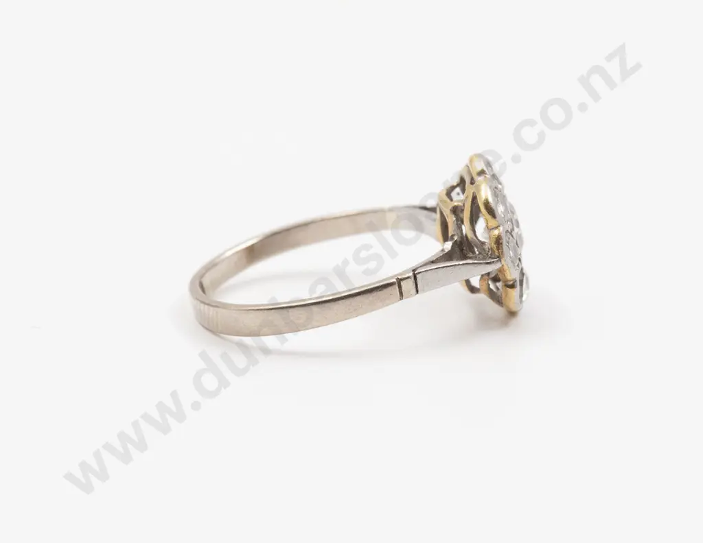 18ct White Gold Nine Stone Diamond Floret Cluster Ring Image 1++