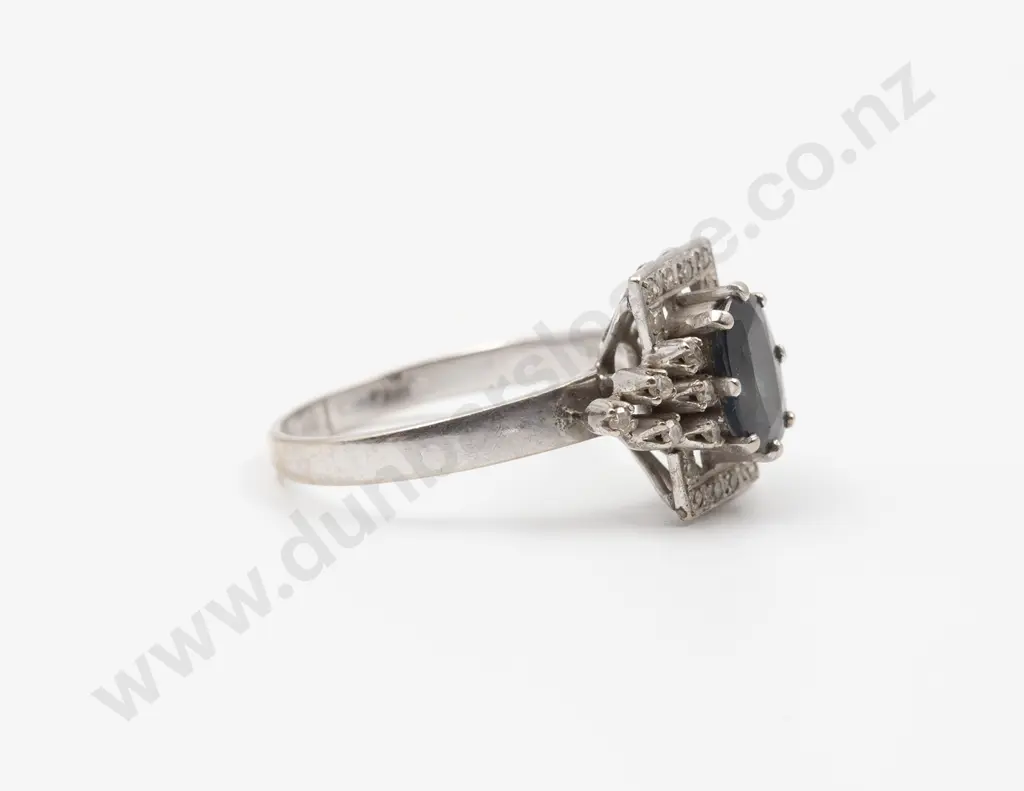 18ct White Gold 25stone Sapphire and Diamond Dress Ring Image 1++