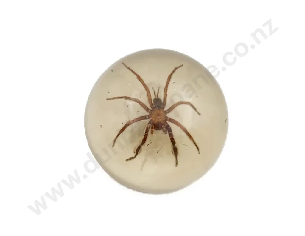Large Spider Resin Paperweight Image 1++