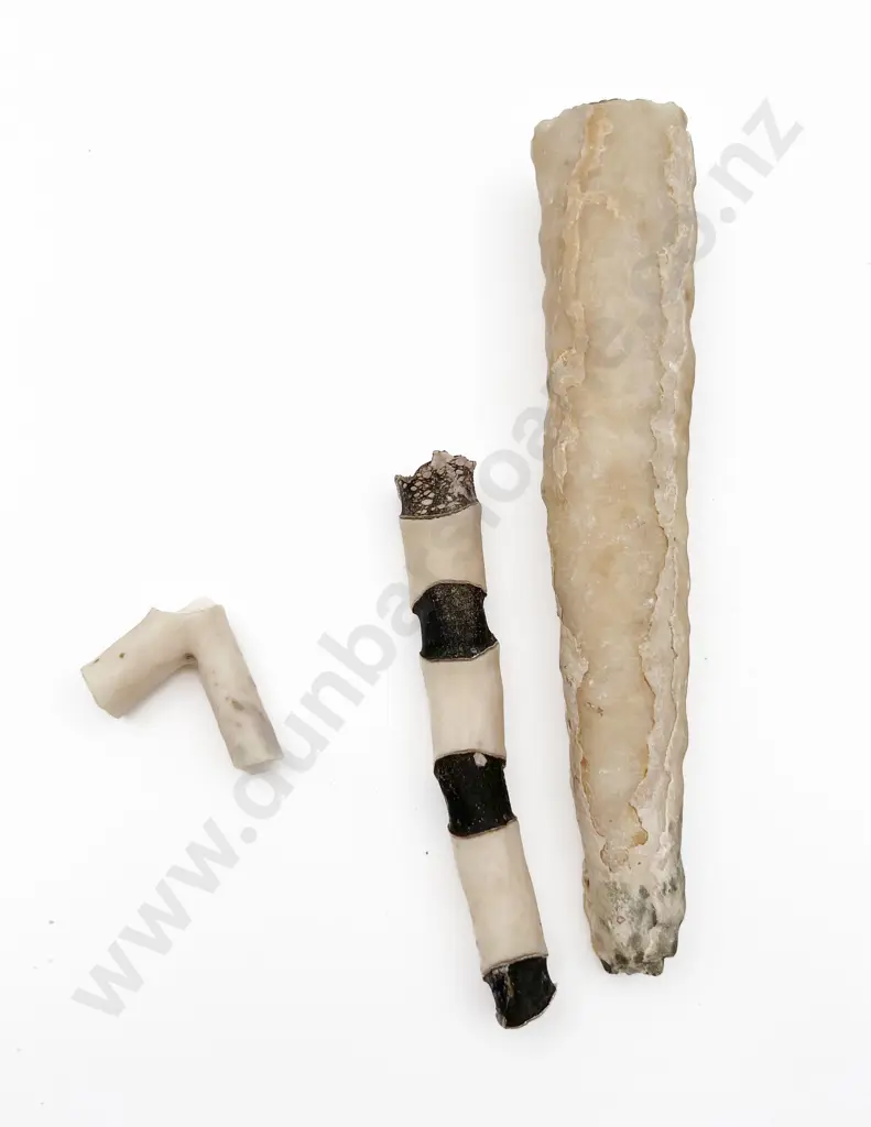 Three Stalactite Specimens Image 1++